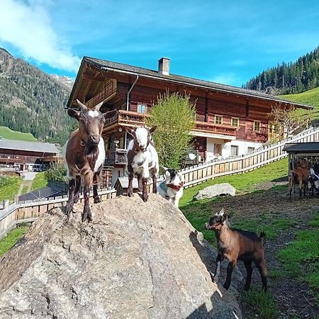 Ferienhaus Egger Innervillgraten Luaran gambar